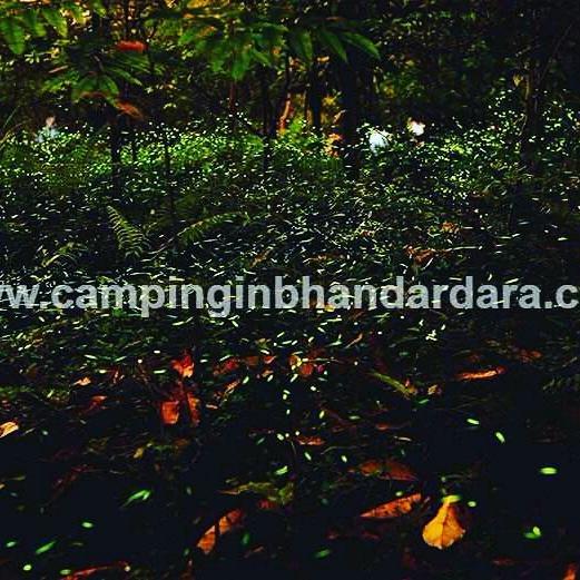 Hotel Samadhan Bhandardara Exteriér fotografie